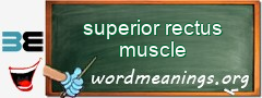 WordMeaning blackboard for superior rectus muscle